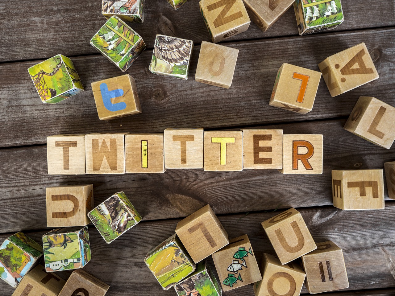 Twitter（X）の動画だけを引用する手順。引用動画が表示されない原因と対処方法も紹介