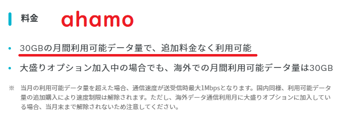 ahamo海外利用