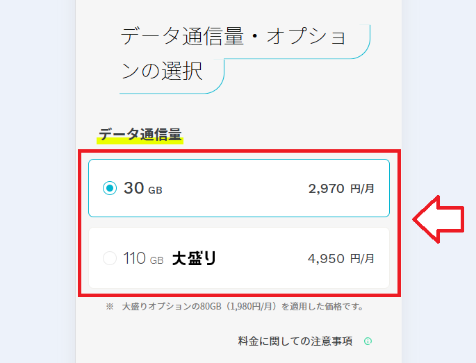 ahamoデータ通信料の選択